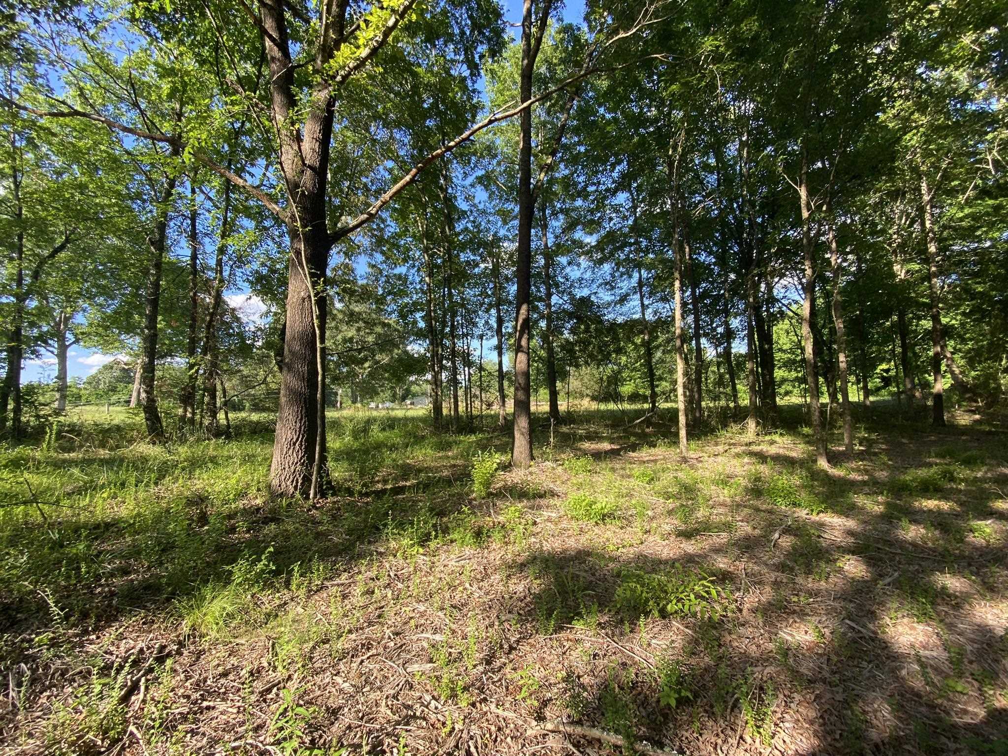 17.09-acres Lagrange Road Somerville, TN 38068 - Photo 3 of 20 Gallery Image 3