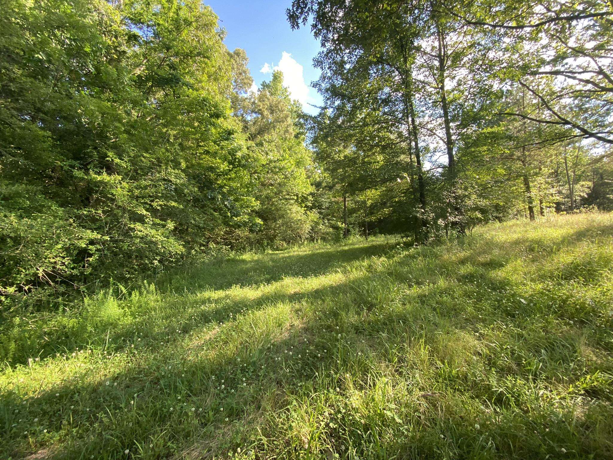 17.09-acres Lagrange Road Somerville, TN 38068 - Photo 4 of 20 Gallery Image 4