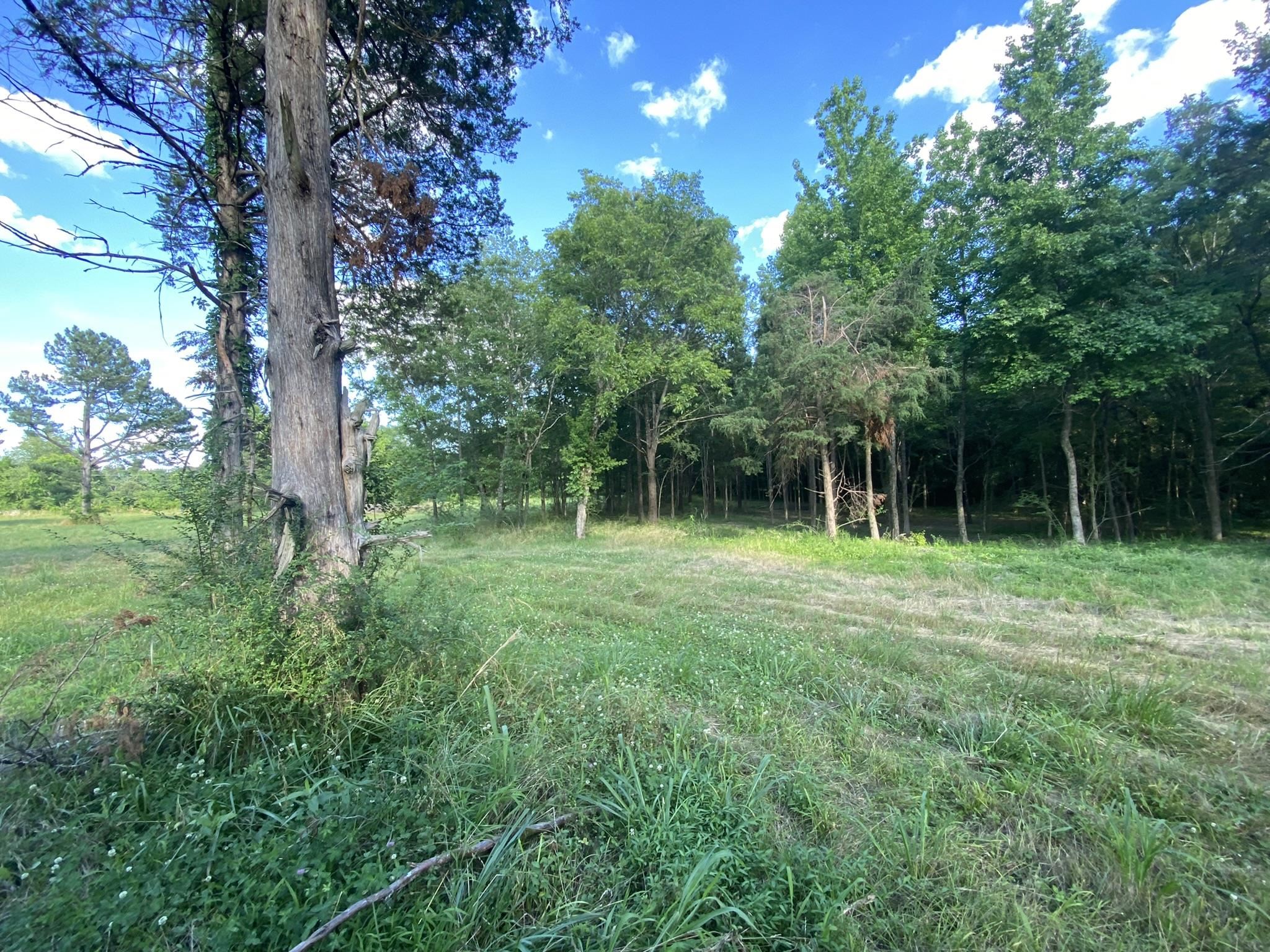 17.09-acres Lagrange Road Somerville, TN 38068 - Photo 5 of 20 Gallery Image 5