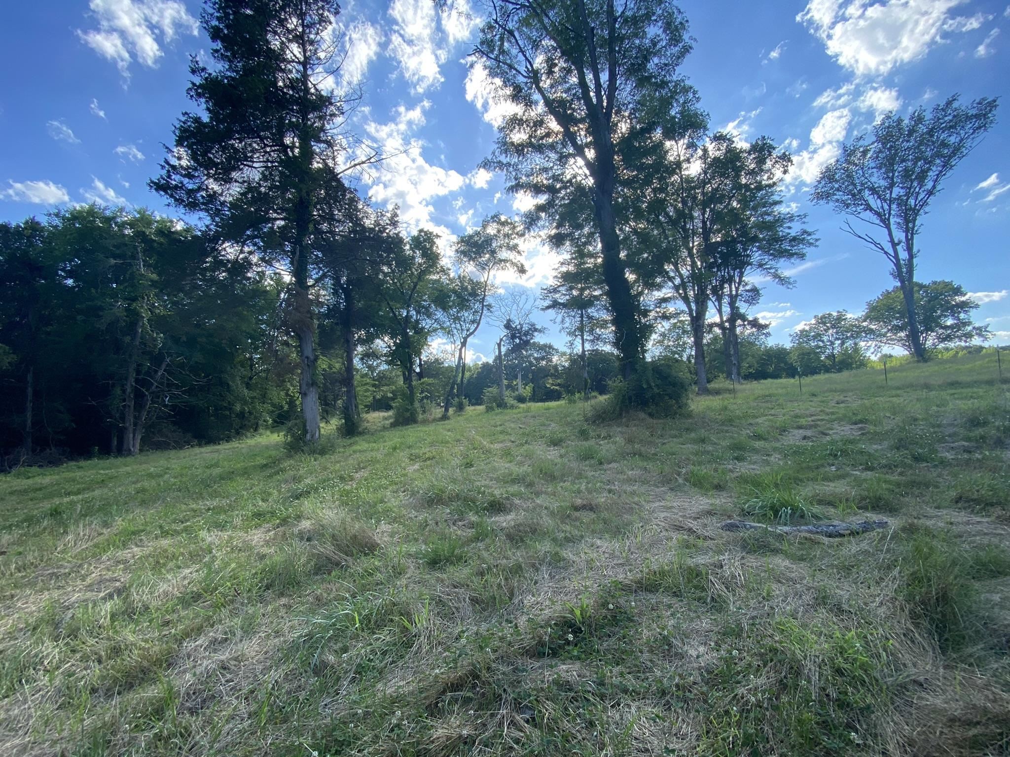 17.09-acres Lagrange Road Somerville, TN 38068 - Photo 6 of 20 Gallery Image 6