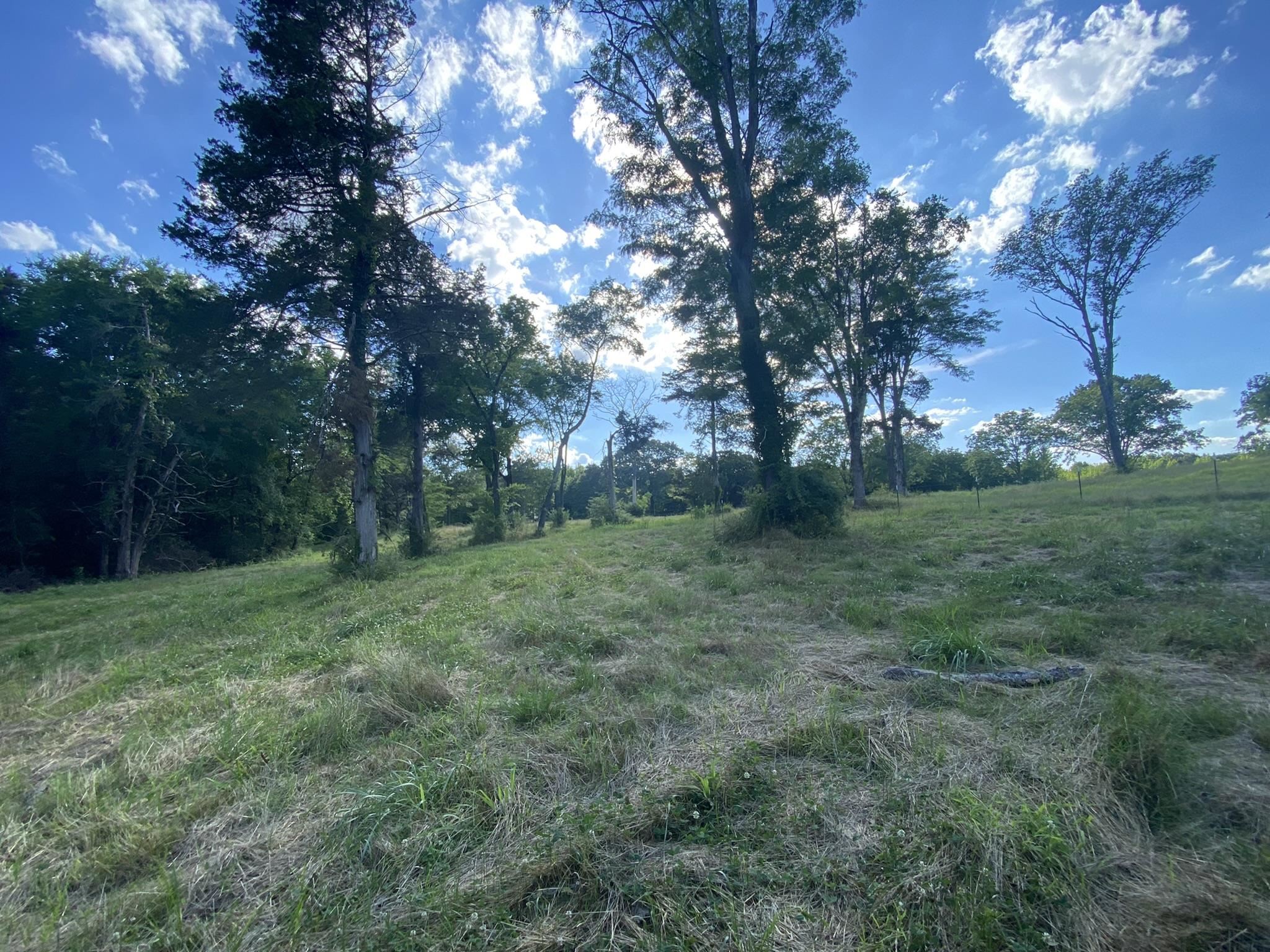 17.09-acres Lagrange Road Somerville, TN 38068 - Photo 7 of 20 Gallery Image 7