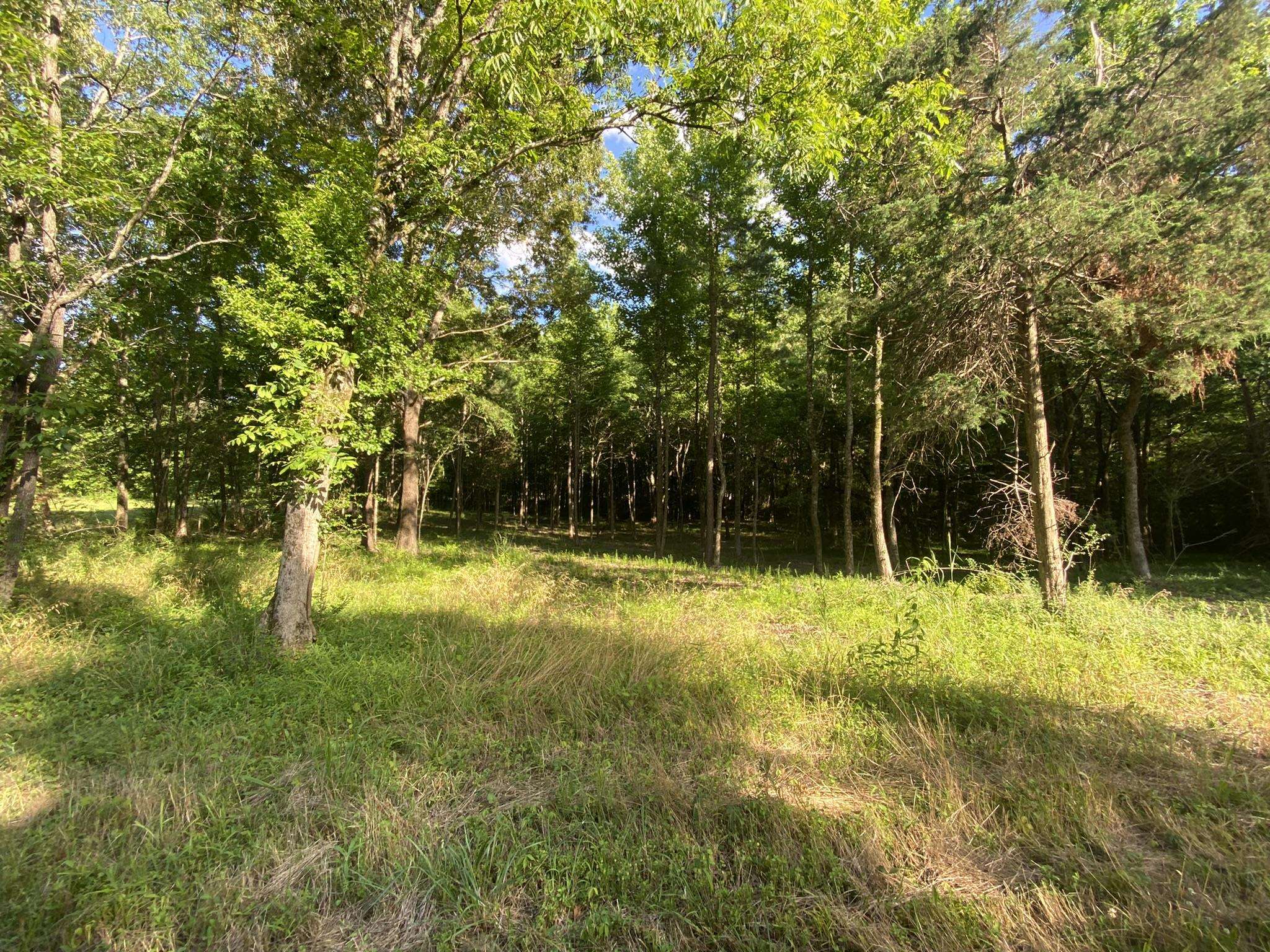 17.09-acres Lagrange Road Somerville, TN 38068 - Photo 9 of 20 Gallery Image 9