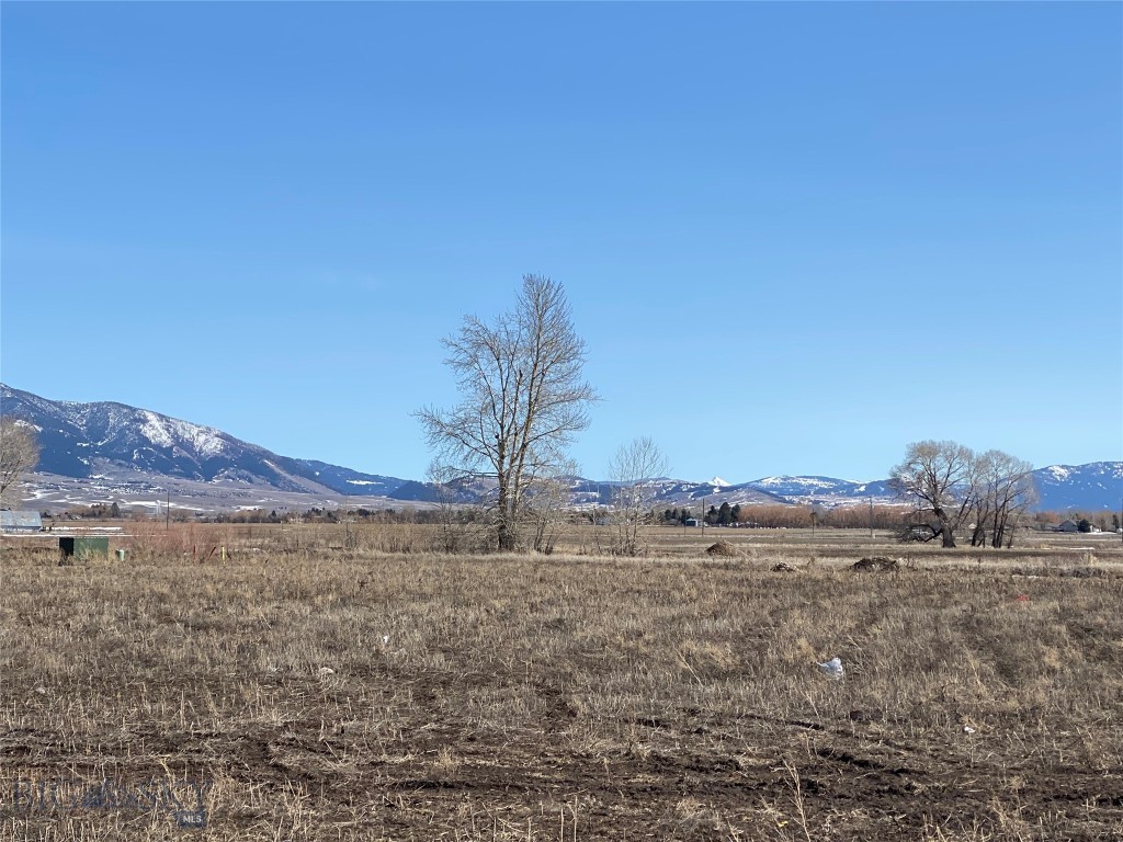 Lot 1 South Riparian Way Bozeman, MT 59718 - Photo 1 of 1 Gallery Image 1