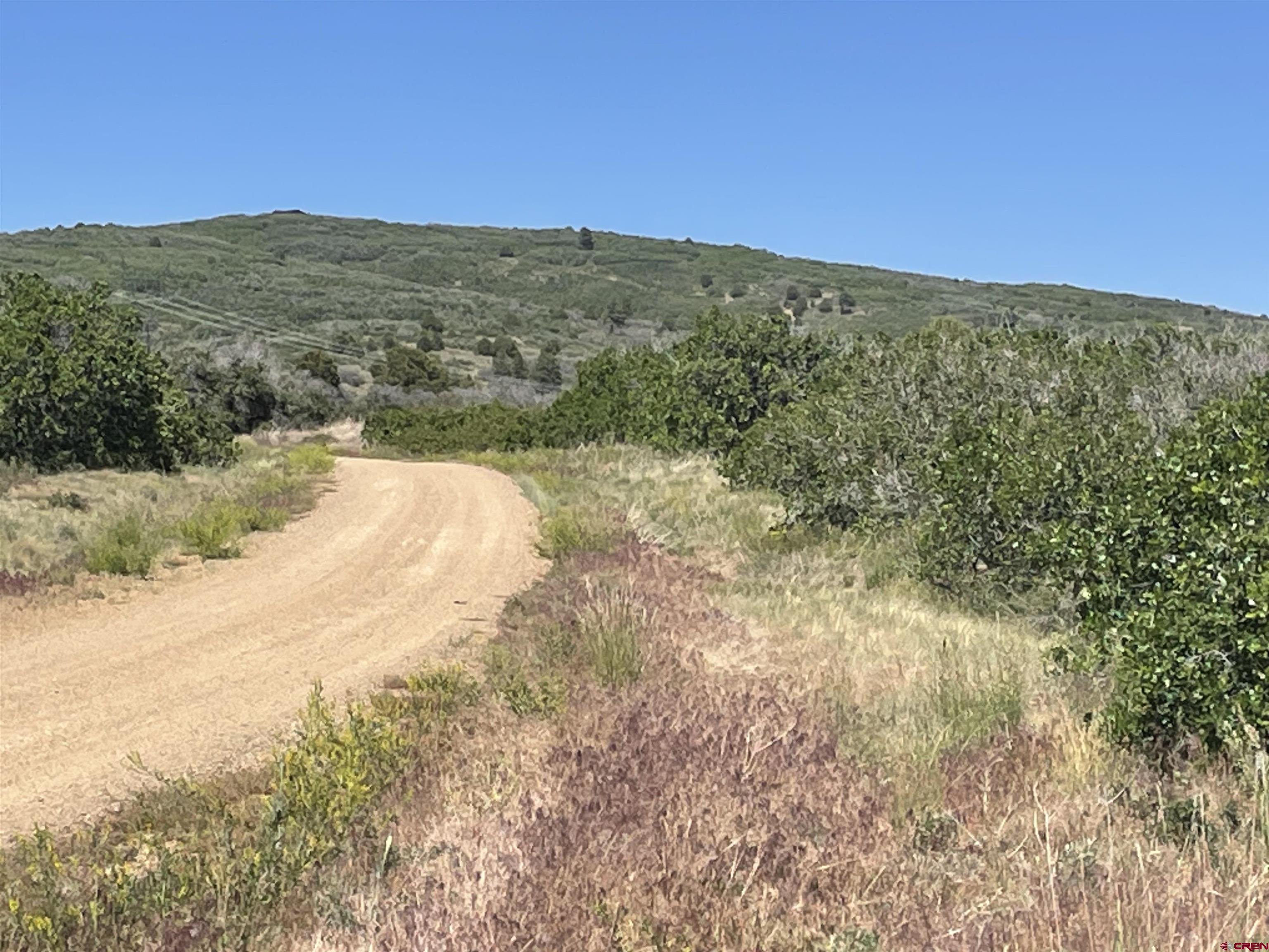 902 Roberts Ridge Drive Hesperus, CO 81326 - Photo 5 of 14 a view of mountains and small yard