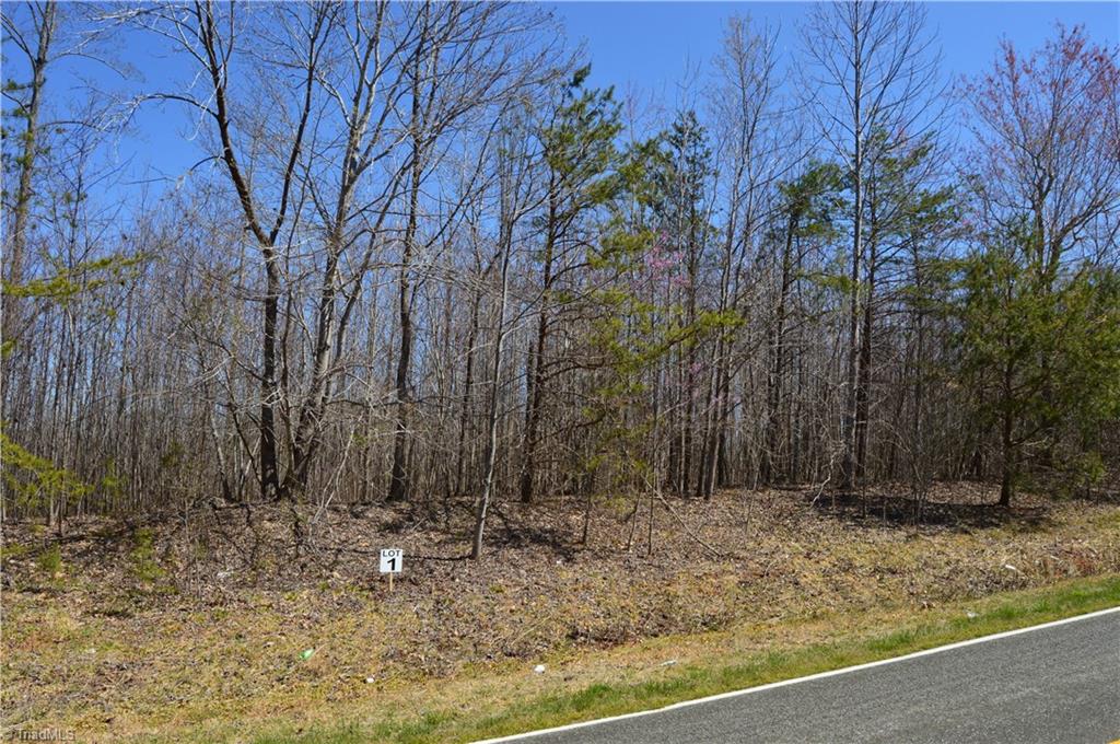 Lot # Chrismon Road Browns Summit, NC 27214 - Photo 1 of 2 Gallery Image 1