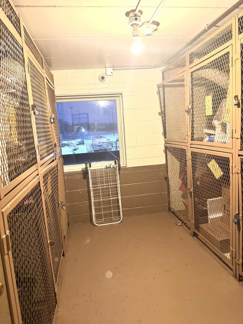 300 South Roselle Road, Unit 207 Schaumburg, IL 60193 - Photo 17 of 17 a view of a room with gym equipment