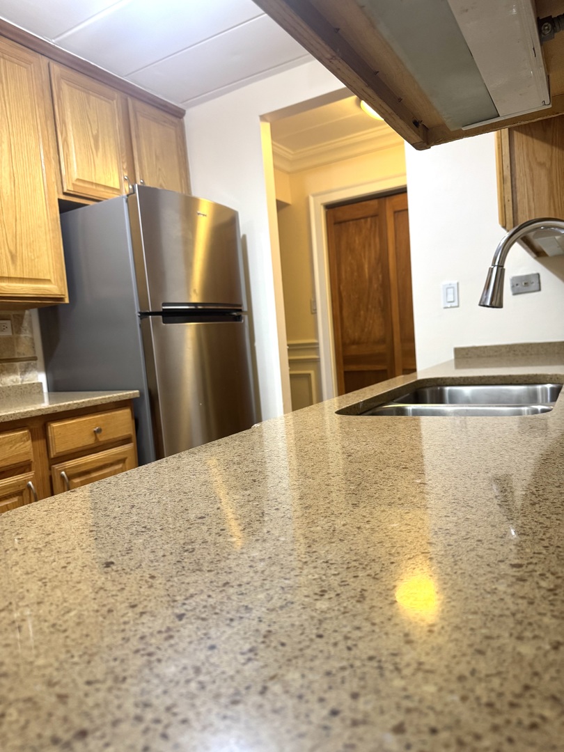 300 South Roselle Road, Unit 207 Schaumburg, IL 60193 - Photo 4 of 17 a kitchen with stainless steel appliances granite countertop a refrigerator a stove and a sink with granite countertops
