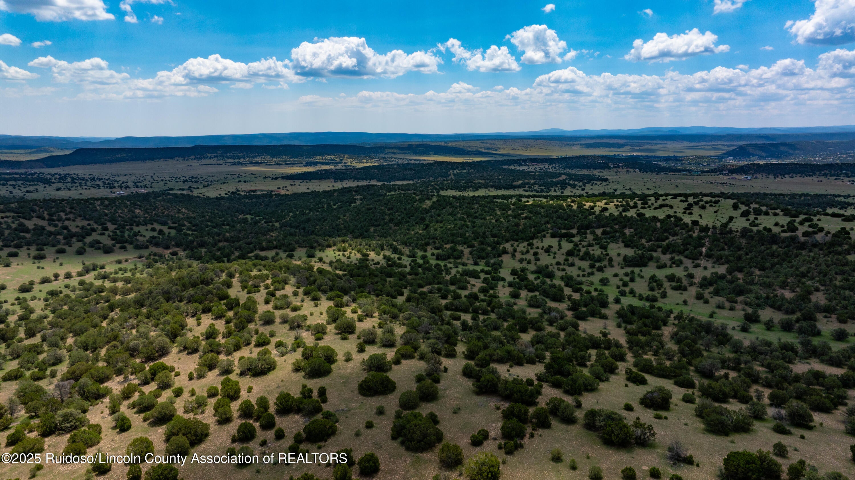 331 Pine Lodge Road Capitan, NM 88316 - Photo 142 of 156 Gallery Image 142