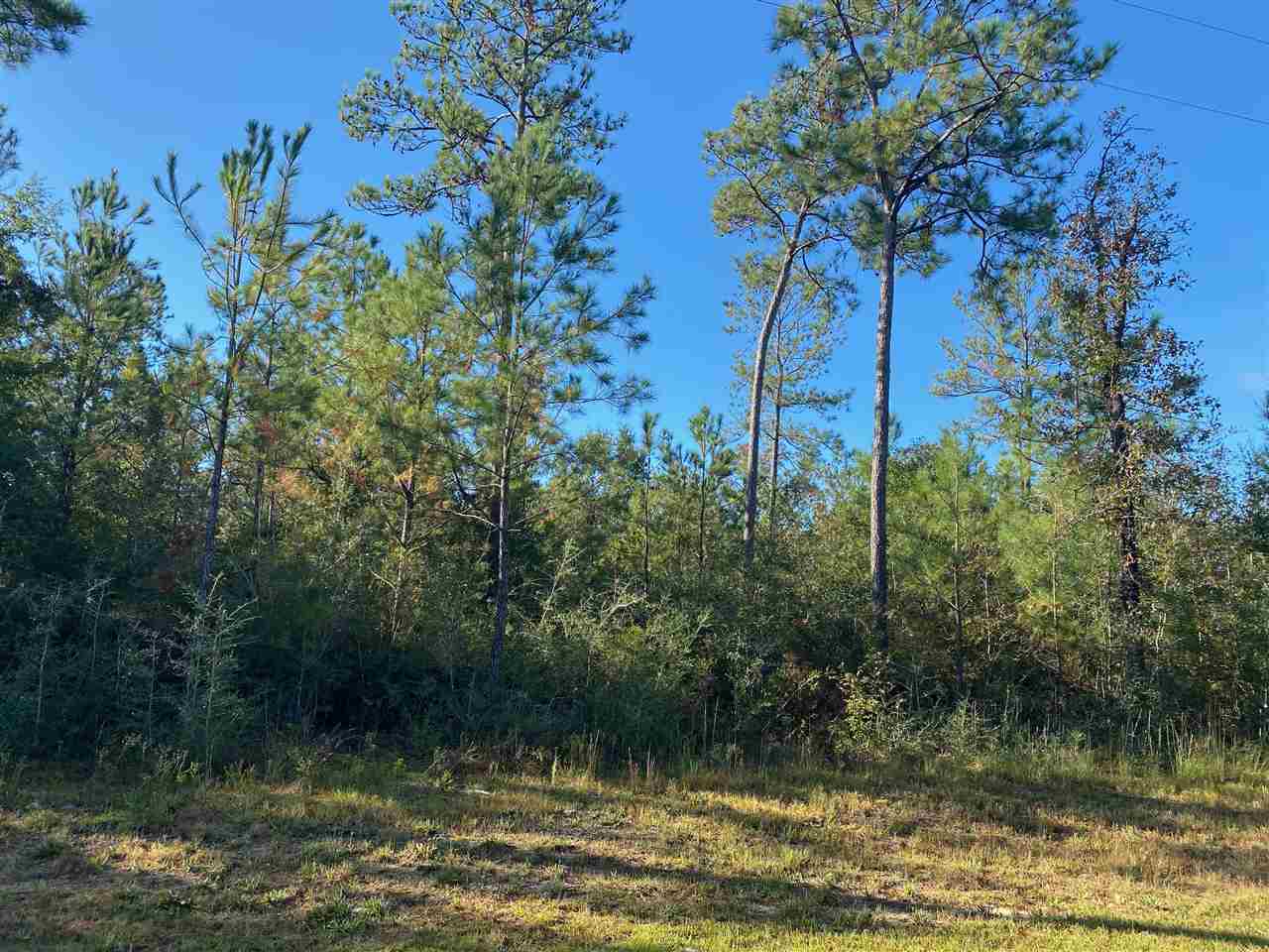 8702 Dixon Road Bay Minette, AL 36507 - Photo 4 of 8