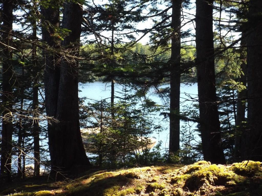 131 Old Harbor Road Vinalhaven, ME 04863 - Photo 8 of 11 Elevated view from another building...