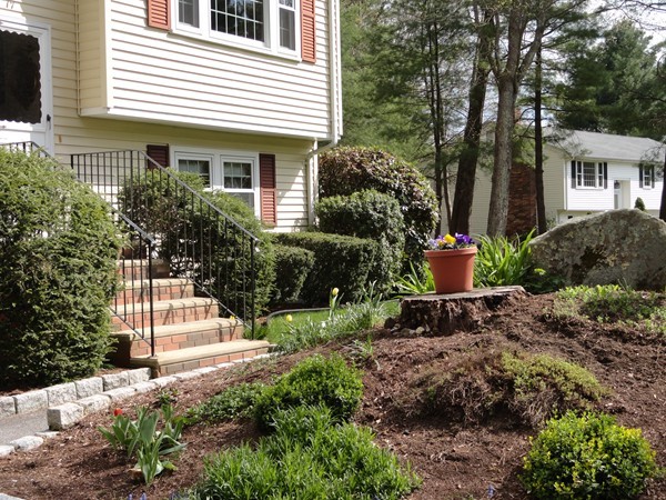 17 Michael Road Maynard, MA 01754 - Photo 14 of 20 a view of a house with a garden and plants