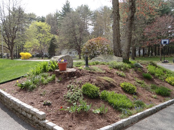 17 Michael Road Maynard, MA 01754 - Photo 18 of 20 a view of a garden with trees