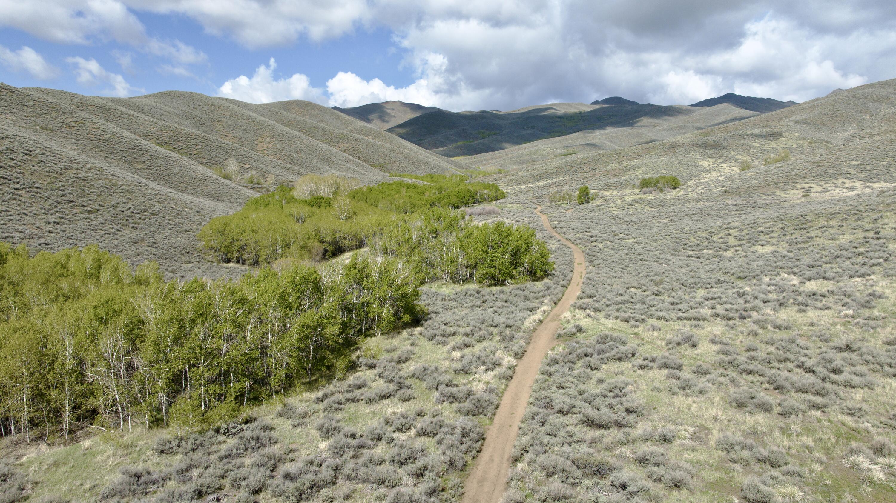 Tbd Lees Gulch Road Hailey, ID 83333 - Photo 10 of 14 Lees Gulch Rd, Bellevue