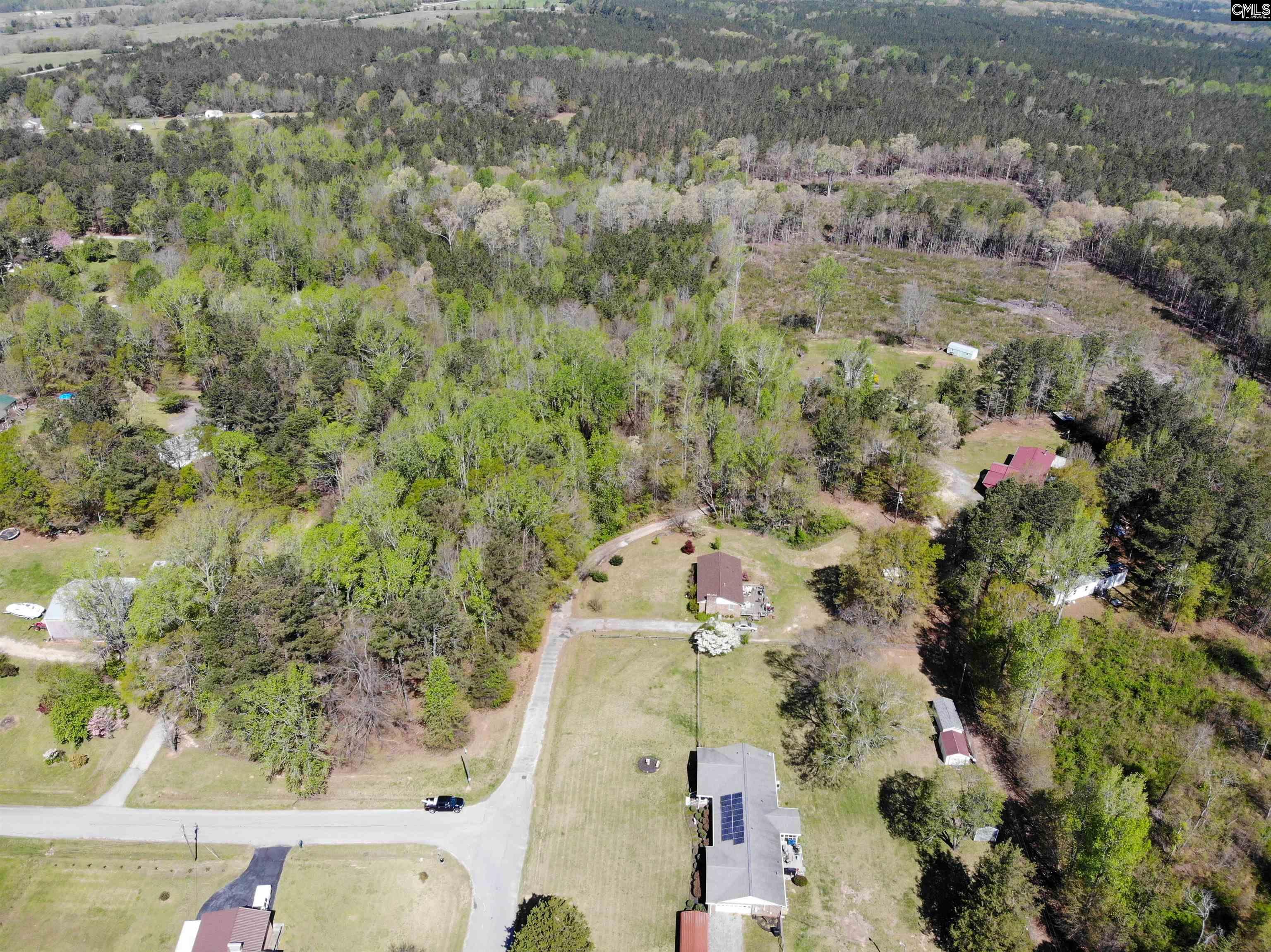 Tbd James Road Joanna, SC 29351 - Photo 11 of 82
