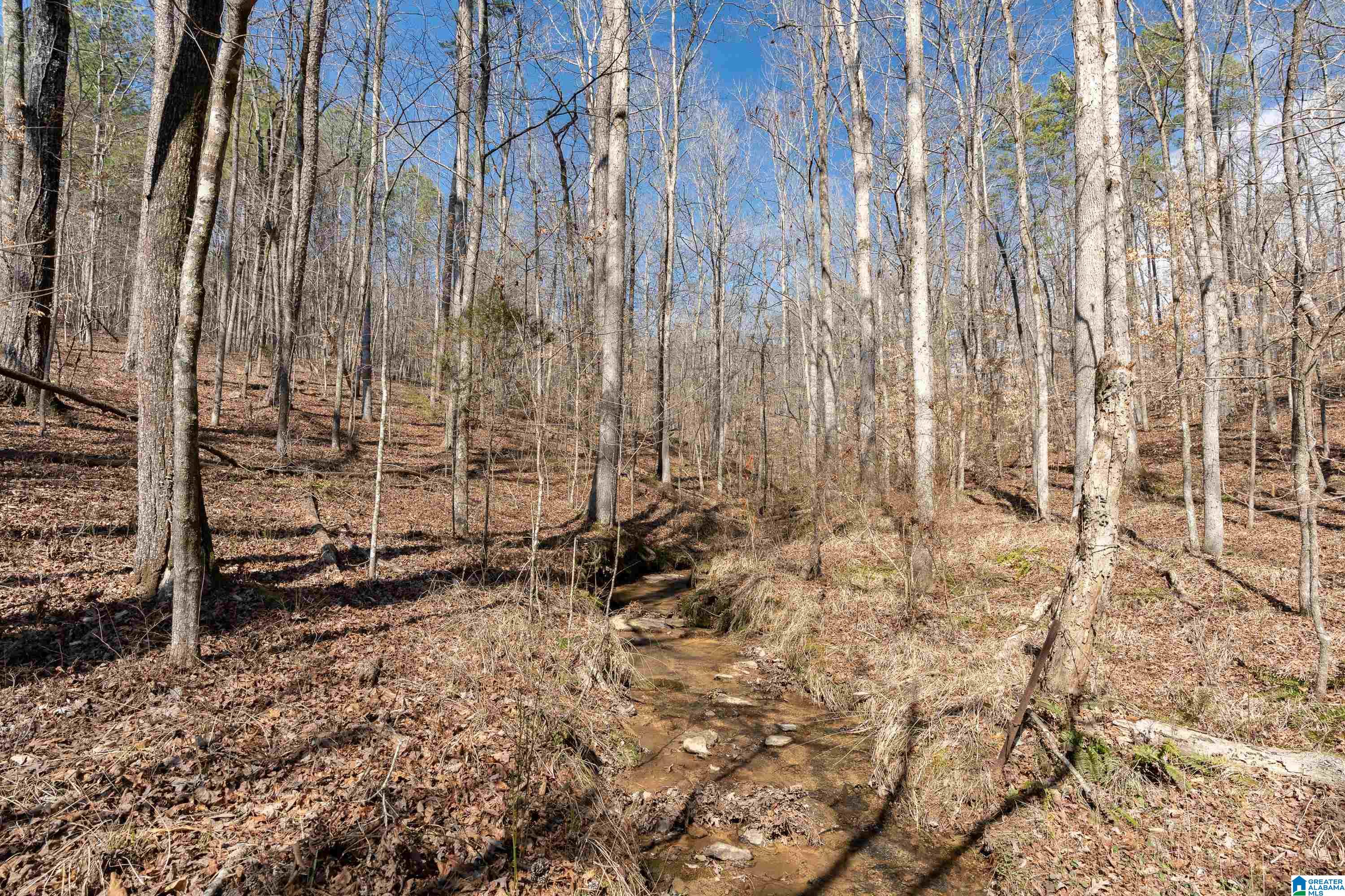 2050 Argo Margaret Road Odenville, AL 35120 - Photo 49 of 61