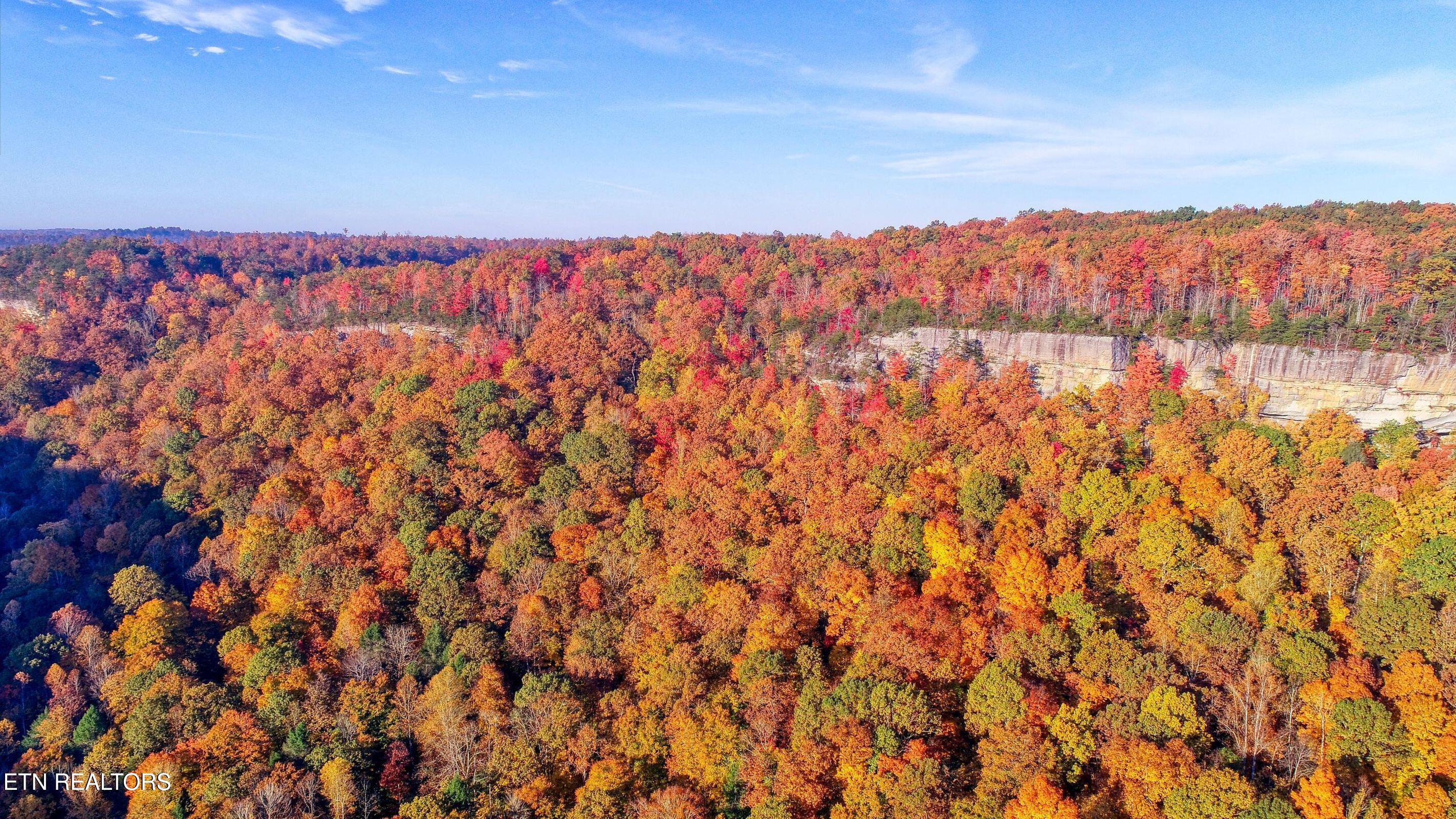 Grandview Way Jamestown, TN 38556 - Photo 19 of 22 20181105210557862731000000-o