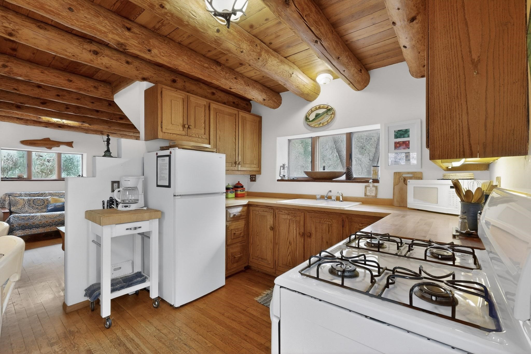 1 Mcferrin Taylor Road Pecos, NM 87552 - Photo 10 of 60