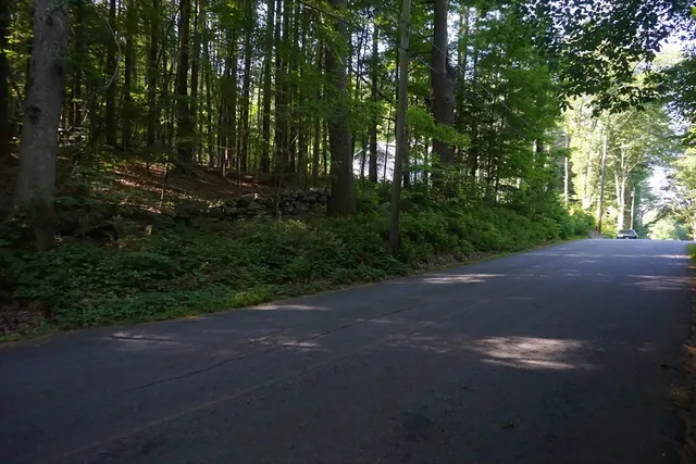 a view of road and trees