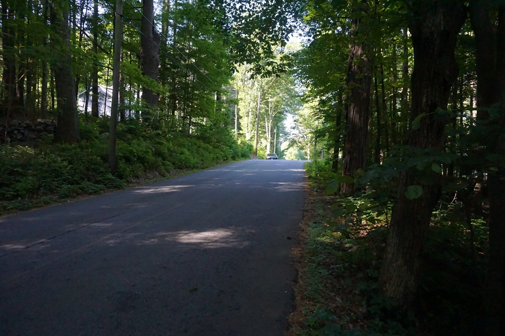 Lot 7 Harrington Road Charlton, MA 01507 - Photo 7 of 7 a view of road and trees