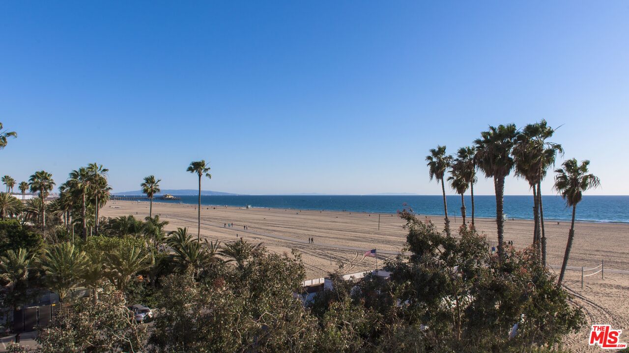 924 Palisades Beach Road Santa Monica, CA 90403 - Photo 52 of 54 a view of a lake with a palm tree