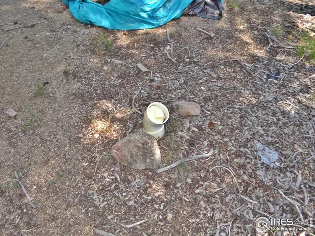 $100,000 | 257 Jicarilla Trail, Red Feather Lakes, CO 80545