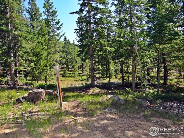 $100,000 | 257 Jicarilla Trail, Red Feather Lakes, CO 80545