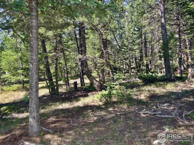 $100,000 | 257 Jicarilla Trail, Red Feather Lakes, CO 80545
