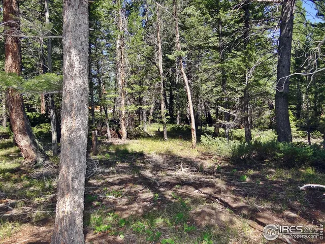 $100,000 | 257 Jicarilla Trail, Red Feather Lakes, CO 80545