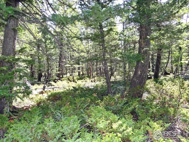 $100,000 | 257 Jicarilla Trail, Red Feather Lakes, CO 80545