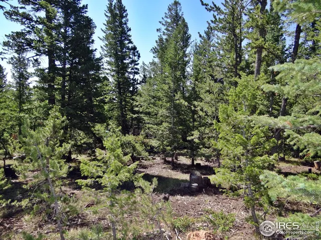 $100,000 | 257 Jicarilla Trail, Red Feather Lakes, CO 80545