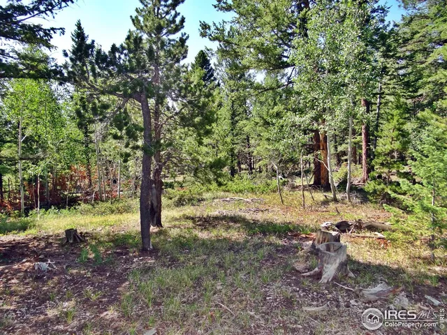 $100,000 | 257 Jicarilla Trail, Red Feather Lakes, CO 80545