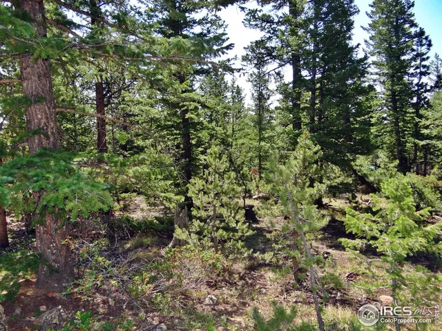 $100,000 | 257 Jicarilla Trail, Red Feather Lakes, CO 80545