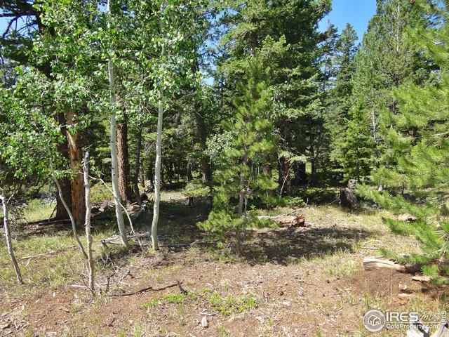 $100,000 | 257 Jicarilla Trail, Red Feather Lakes, CO 80545