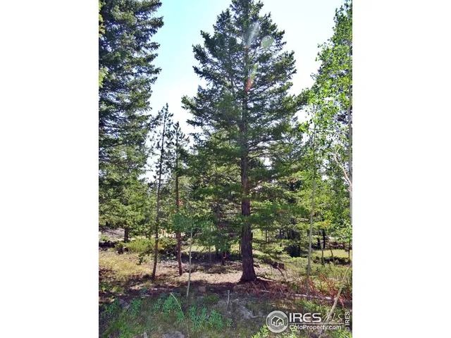 $100,000 | 257 Jicarilla Trail, Red Feather Lakes, CO 80545