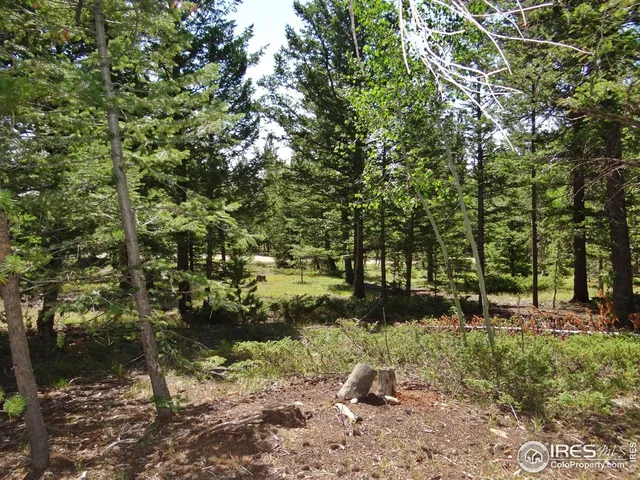 $100,000 | 257 Jicarilla Trail, Red Feather Lakes, CO 80545