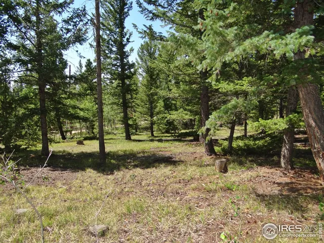 $100,000 | 257 Jicarilla Trail, Red Feather Lakes, CO 80545