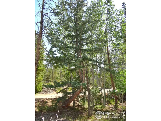 $100,000 | 257 Jicarilla Trail, Red Feather Lakes, CO 80545