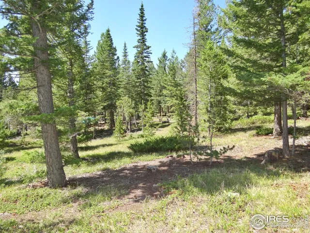 $100,000 | 257 Jicarilla Trail, Red Feather Lakes, CO 80545