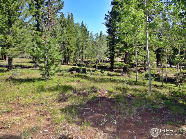 $100,000 | 257 Jicarilla Trail, Red Feather Lakes, CO 80545