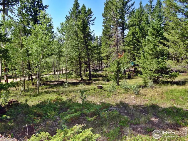 $100,000 | 257 Jicarilla Trail, Red Feather Lakes, CO 80545