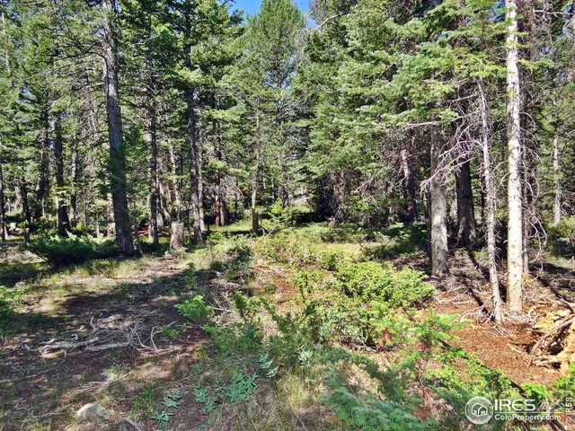 $100,000 | 257 Jicarilla Trail, Red Feather Lakes, CO 80545