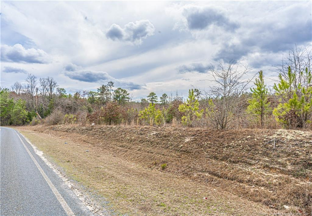 Tbd Cedar Lane Road Jackson Springs, NC 27281 - Photo 14 of 14 a view of a dry yard with wooden fence