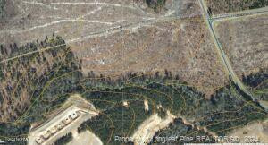 Tbd Cedar Lane Road Jackson Springs, NC 27281 - Photo 2 of 14 a aerial view of a house with a yard