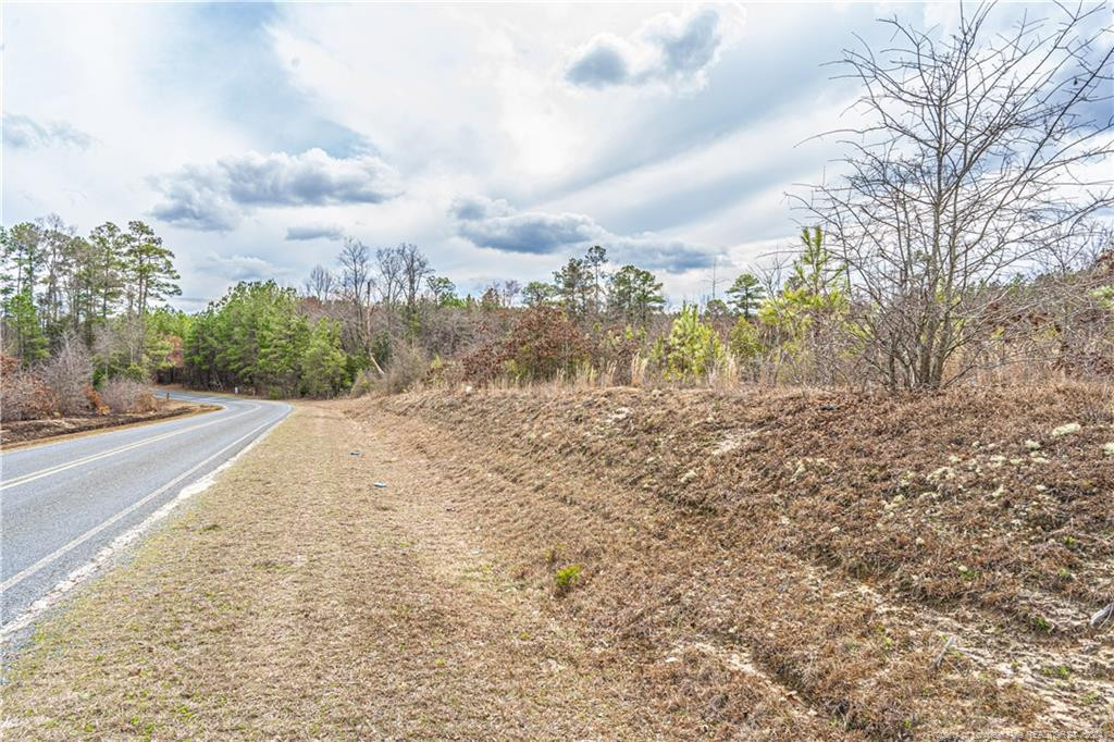 Tbd Cedar Lane Road Jackson Springs, NC 27281 - Photo 10 of 14 a view of a pathway with a yard