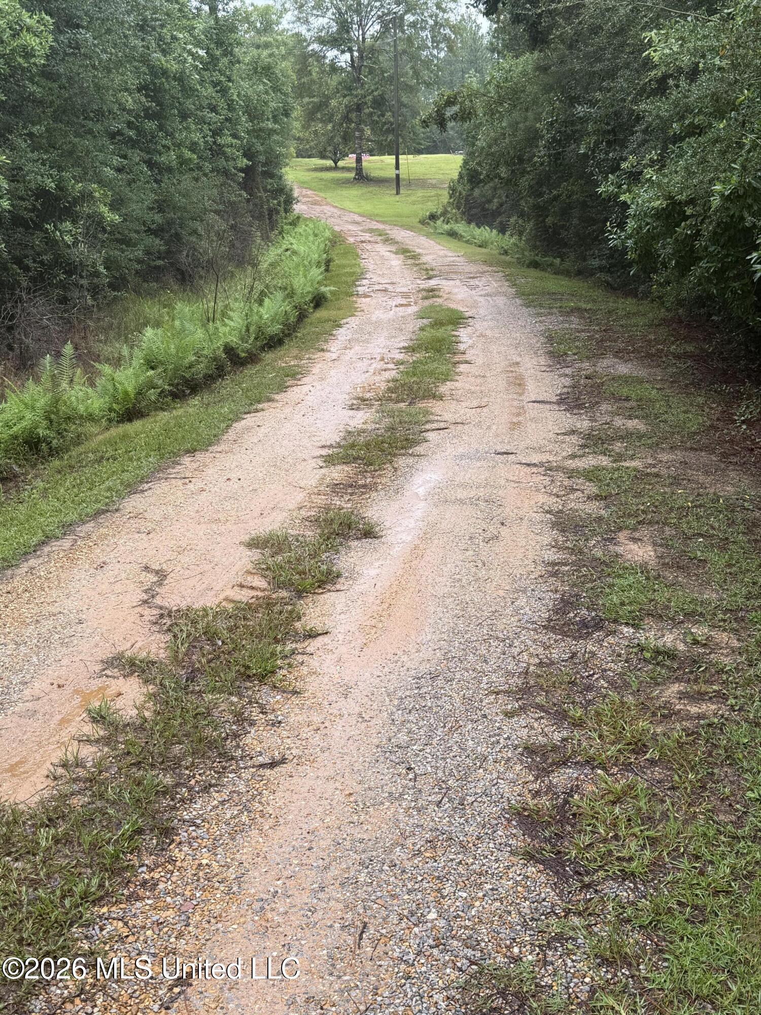 808 West McHenry Road McHenry, MS 39561 - Photo 3 of 32 Front Drive
