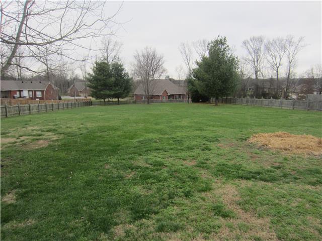 602 Cedar Grove Road Lebanon, TN 37087 - Photo 3 of 13