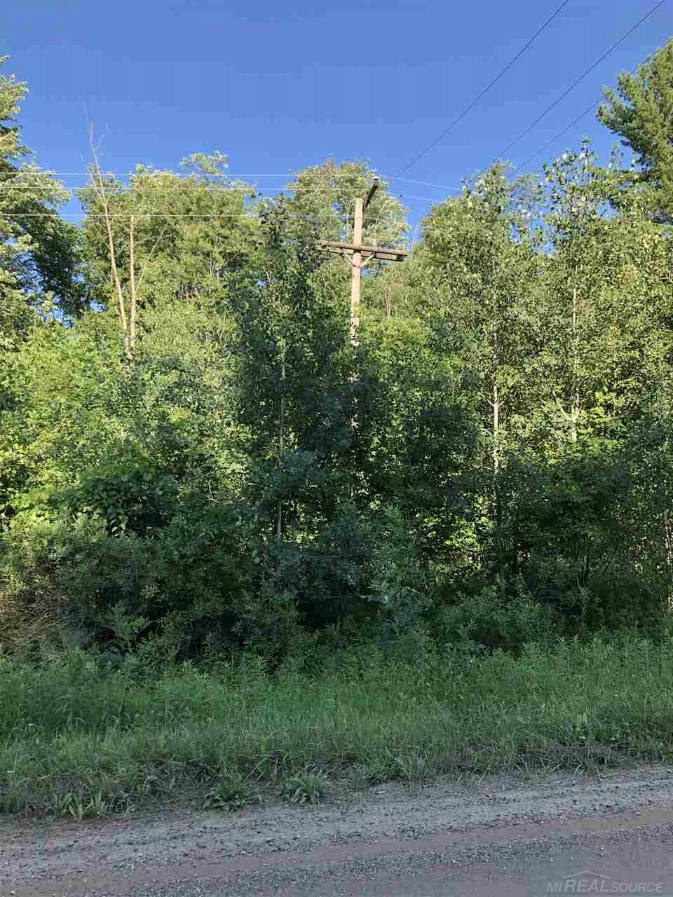 0 Frenchline Road Sandusky, MI 48471 - Photo 3 of 4