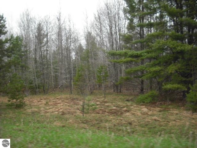 4773 Voice Road Kingsley, MI 49649 - Photo 12 of 15