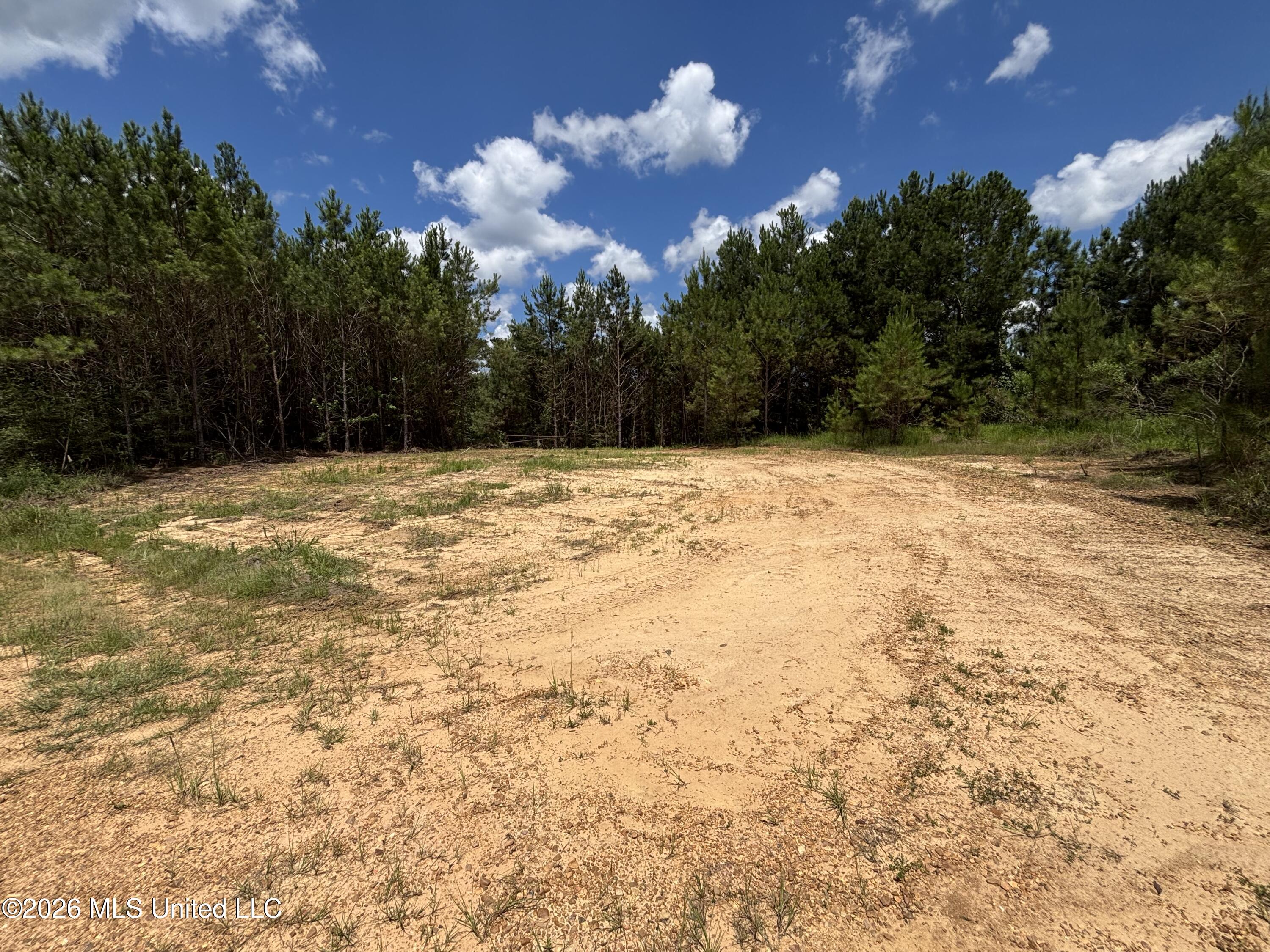 Stump Road Crosby, MS 39633 - Photo 60 of 60 IMG_4407