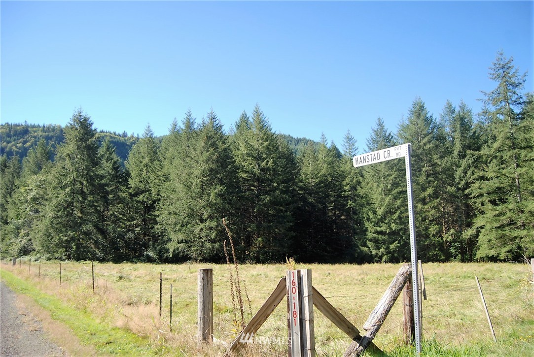 170 Dodge Road Morton, WA 98356 - Photo 11 of 25 Gallery Image 11